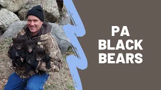 Pennsylvania Black Bears