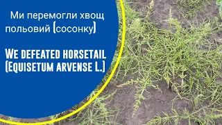 Ми перемогли хвощ польовий. Епізод № 46