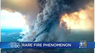 Bay Area Climate Scientists Study Rare Cloud Generated By Australia Wildfires