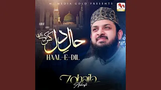 Haal E Dil