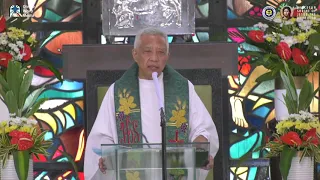 Homily By Fr Benigno Beltran SVD - November 15, 2020,  33rd Sunday in Ordinary Time