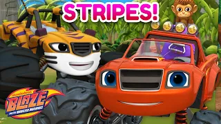 Blaze Jungle Rescues! w/ Stripes & Zeg | 30 Minute Compilation | Blaze and the Monster Machines