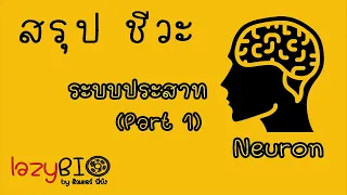 สรุปชีวะ ระบบประสาท EP.1 (เซลล์ประสาท)