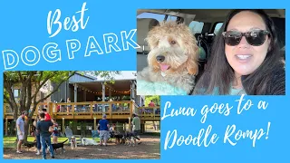 Best dog parks in Dallas- Doodle Romp at The Shacks at Austin Ranch-