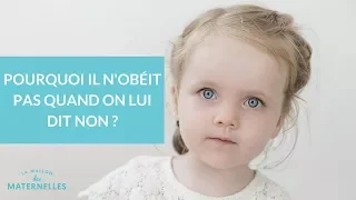 Pourquoi mon enfant n'obéit pas quand on lui dit non ? - La Maison des maternelles #LMDM