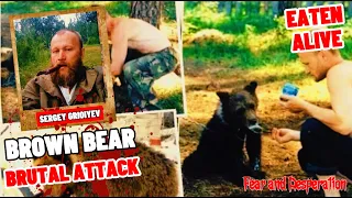 Bear Tragedy: A Tale of Compassion turned Fatal - The Sergey Grioiyev Story