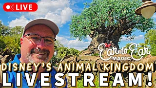 🔴 LIVE - Disneys Animal Kingdom Livestream - Disney World 10-12-22