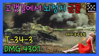 월드오브탱크 / T-34-3 / Mountain Pass South / Brain death