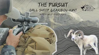 FULL FILM "THE PURSUIT" - GIANT DALL & 2 CARIBOU BULLS
