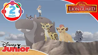 The Lion Guard | Music Video "Amici per sempre" - Disney Junior Italia