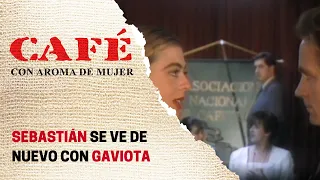 Gaviota ve a Sebastián muy cambiado | Café, con aroma de mujer