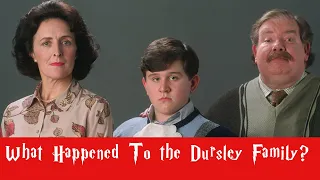 What Happened to Dursleys after Harry Potter and the Deathly Hallows | Explained in Hindi