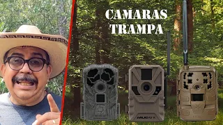 Las mejores Camaras Trampa en español | Trail Cam
