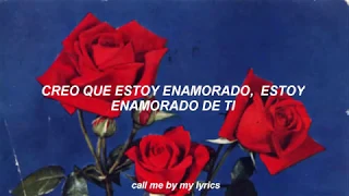 Falling For You - The 1975 (Sub.Español/Lyrics)