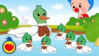 Cinco Patitos ♫ Canciones Infantiles ♫ Plim Plim