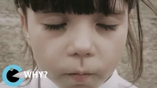 WHY? - Act On Climate Change - Short Film