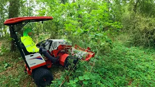 Mowing OVERGROWN Forest With A Tractor For FREE (Ventrac 4520)