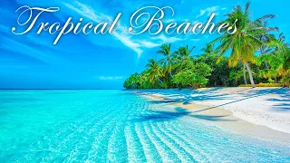 Relax in the Summer with Beautiful Tropical Beaches & Bossa Nova Cafe Music for Stress Relief