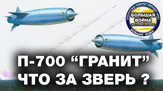 Ракета П-700 Гранит. Авианосец? Корабль? Не, не слышали! Убийца авианосцев П 700 Гранит.