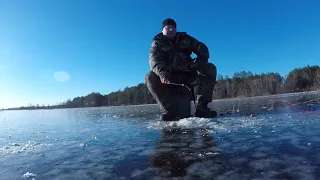 Первый лёд!!! Рыбалка 2018 🎣!!! Белая Холуница!!!