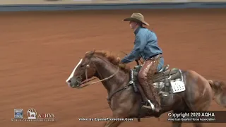 2020 working cow horse