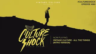 Vintage Culture - Culture Shock #004