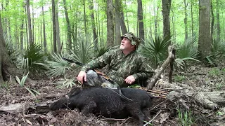 Traditional bowhunt for public land hogs on the ground