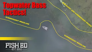 Catch More Summer Largemouth (Topwater Popper Tips & Tactics) – Fish Ed