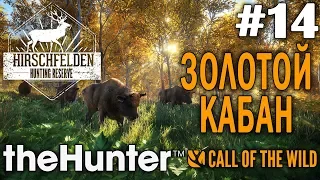 theHunter call of the wild #14 🔫 - Золотой Кабан - Оружие: Лук Винтовка - Трофеи: Кабан Косуля Лань