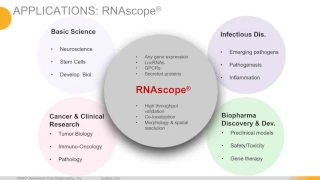 Webinar – Application of combined RNA in situ hybridization and multiplex IHC