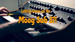 Letting Loose on the Moog Sub 37 - Mike Pensini Funk Solo