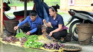 Harvest Chicken Eggs & Snails, Eggplant Goes to the market to sell | Lý Thị Ca