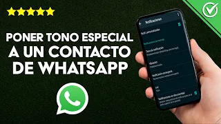 Cómo Poner un Tono Especial o Personalizado a un Contacto en WhatsApp para Mensajes y Llamadas