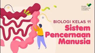 BIOLOGI SMA Kelas 11 - Sistem Pencernaan Manusia | GIA Academy