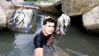 Pinakamagandang Libangan pag walang Pasok Pamamana sa Ilog Bilis Makahuli Giant Tilapia