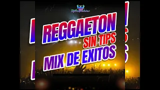 REGGAETON MIX  DE EXITOS SIN TIPS(DJESQUELETOR)