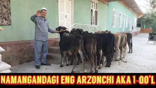 Namangandagi eng arzonchi akamizdan Qirg‘iziston parodali buqachalari sotiladi.