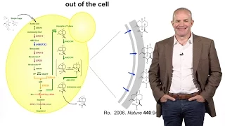 Synthetic Biology:  Engineering Microbes to Solve Global Challenges - Jay Keasling