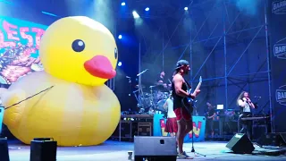 ALESTORM: Nyár van feat. Leander Köteles (as made famous by Neoton Familia LIVE