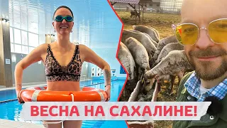 Топ лучших мест на Сахалине весной. Чем заняться в межсезонье?