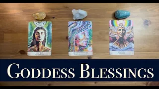 ✨Goddess Blessings ✨Pick a Card - Tarot Reading