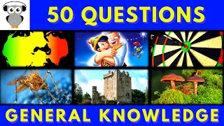 General Knowledge Quiz Trivia #8 | Bob Marley, Pinocchio, Dart, Mosquito, Blarney Castle, Mushroom