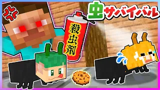 働きアリになって人間からお菓子を盗み出せ！アリになっちゃうマインクラフト🍰🐜💨【まいくら・Minecraft】よろずや🍭