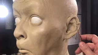 Sculpting Ears