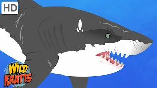 Sharks and Other Sea Creatures [Full Episodes] Wild Kratts