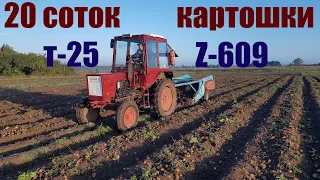 Трактор Т-25, Копалка Z-609 - 20 соток собрали за 3 часа  Наконец - то выкопали картошку