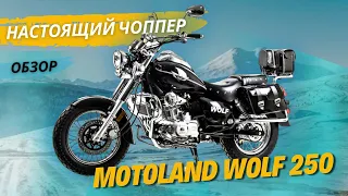 Обзор на настоящий чоппер MOTOLAND WOLF 250 от X-MOTORS