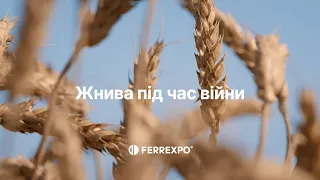 Жнива під час війни