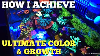 How I Achieve Best Coral Coloration