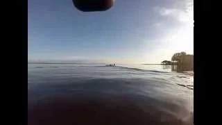 Mississippi kayaking.  Alligator gar fish jumped out of water